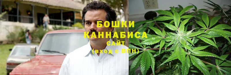 где купить наркоту  Алагир  Каннабис LSD WEED 